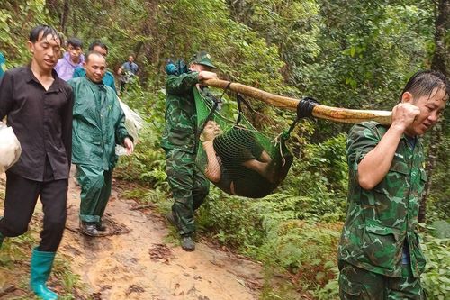 Lai Châu: Cứu một người rơi xuống vực trong rừng sau 4 ngày