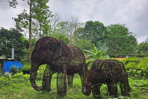 Cần lên án mạnh mẽ tận diệt động vật hoang dã bằng bẫy, súng tự chế
