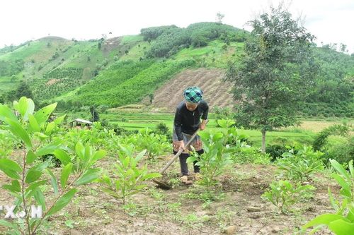Điều chỉnh, bổ sung danh sách xã khu vực vùng đồng bào dân tộc thiểu số