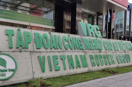Tập đoàn Công nghiệp Cao su Việt Nam lên tiếng về việc lãnh đạo bị khởi tố