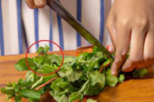 2 loại rau không lo 'ngậm' thuốc trừ sâu, loại đầu bảng người Việt ít ai hay
