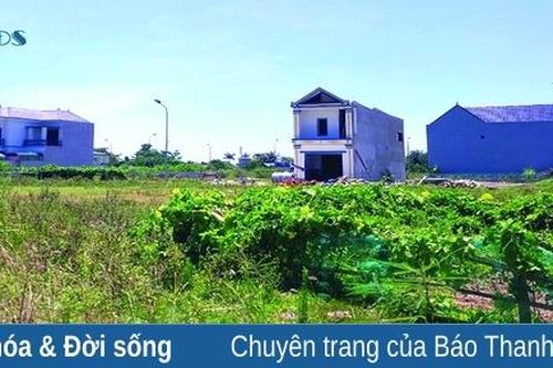 Câu chuyện an cư