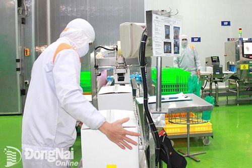Tạo động lực phát triển kinh tế xanh