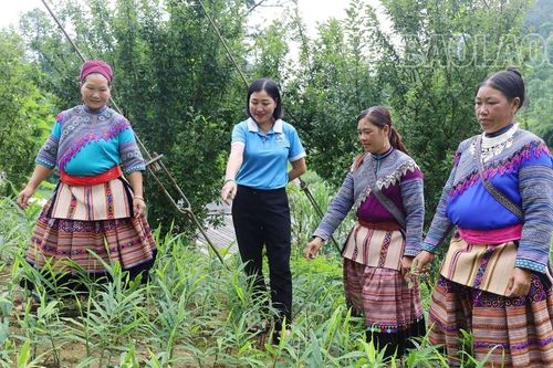 Cùng phụ nữ vùng cao Si Ma Cai lên nương