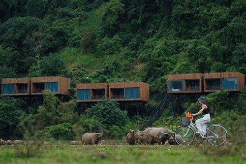 Vì sao Quảng Bình được bầu chọn là điểm đến đẹp nhất thế giới?