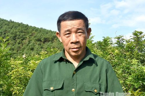 Vươn lên trên đất khó