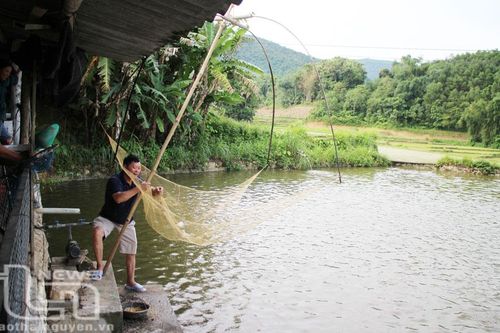 Đánh thức tiềm năng nuôi trồng thủy sản ở Định Hóa
