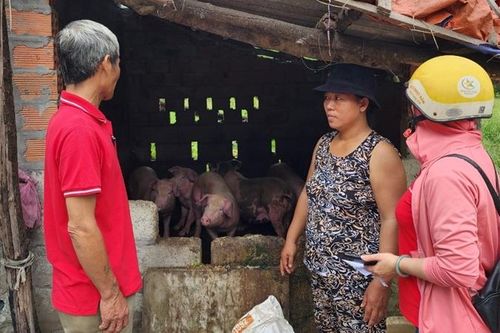 Giúp 1.000 nữ nông dân nghèo phục hồi, phát triển sinh kế bền vững