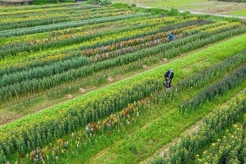 Thừa Thiên – Huế: Công bố quy hoạch phân khu Khu đô thị sinh thái Thanh Tiên