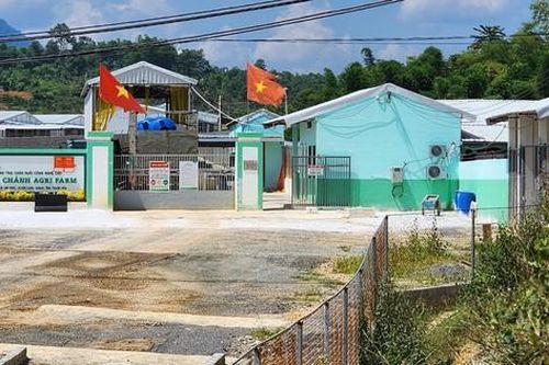 Chủ tịch tỉnh ra 'tối hậu thư' cho những trang trại lợn gây ô nhiễm