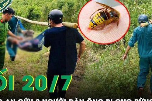 Tối 20/7: Giải cứu 2 người đàn ông nguy kịch do bị ong rừng đốt gần 100 vết