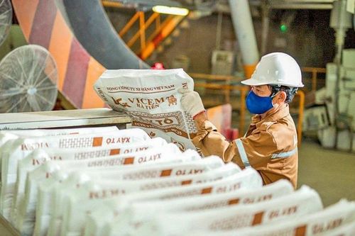 Nhà sản xuất xi măng lớn nhất miền Nam báo lãi trở lại