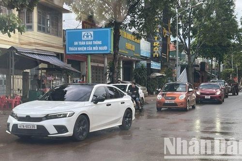 Huyện Krông Pắc: Mua sắm ô-tô tăng cao nhờ 'trúng' sầu riêng