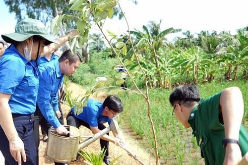 Tuổi trẻ Hải Phòng đồng loạt ra quân chung tay xây dựng nông thôn mới