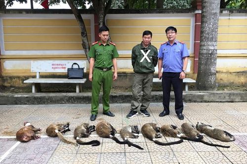 Những 'lỗ hổng' pháp luật về xử lý tội phạm liên quan đến động vật hoang dã