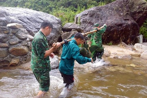 Cứu sống người đàn ông đi rừng bị rơi xuống vực
