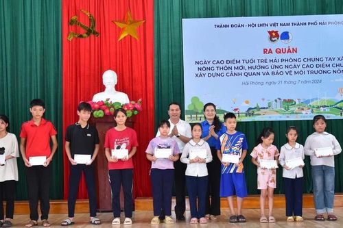 Tuổi trẻ Hải Phòng chung tay xây dựng nông thôn mới kiểu mẫu