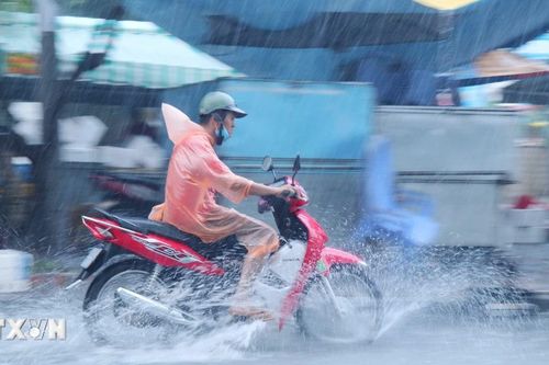 Bạc Liêu: Mưa dông gây đổ cây xanh, nhiều người đi đường bị thương