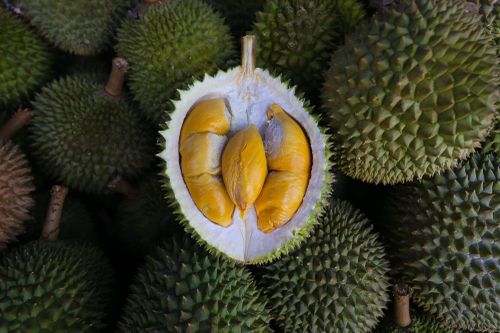 ASEAN, Trung Quốc thúc đẩy hợp tác về sầu riêng
