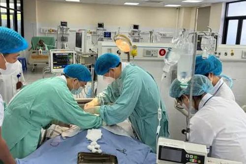 Cơ thể bỗng cứng như khúc gỗ sau khi bị cọc tre đâm vào tay
