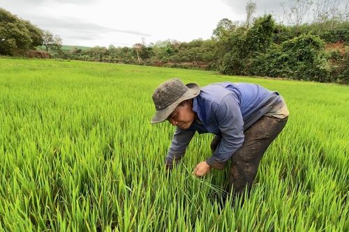 Điều chỉnh đối tượng được vay vốn từ nguồn ngân sách địa phương