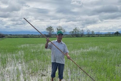 Chủ tịch Hội Nông dân xã Ia Piar làm kinh tế giỏi, nhiệt tình với công tác xã hội