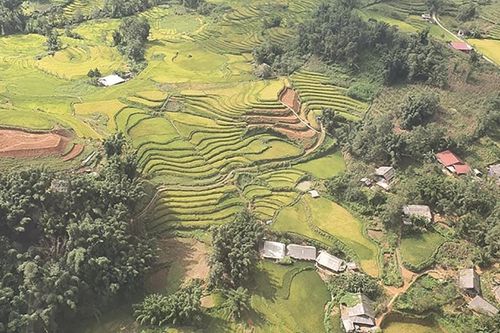 Khuôn mặt làng