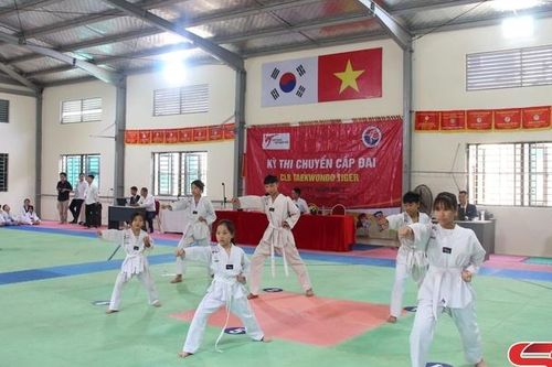 Ươm mầm tài năng taekwondo