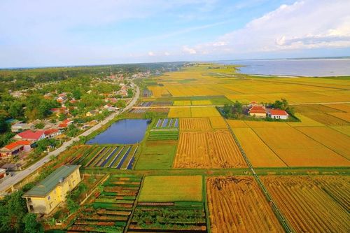 Vượt thách thức trong phát triển đô thị