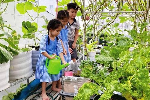 Nhà phố có vườn rau