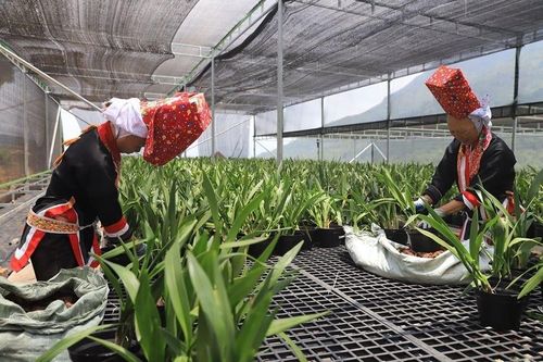 Quảng Ninh phấn đấu nâng mức thu nhập bình quân lên 100 triệu đồng/người/năm