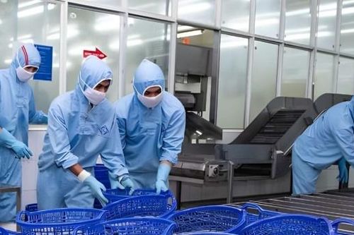 Tồn kho của Sao Ta tăng hơn 60% trong nửa đầu năm 2024
