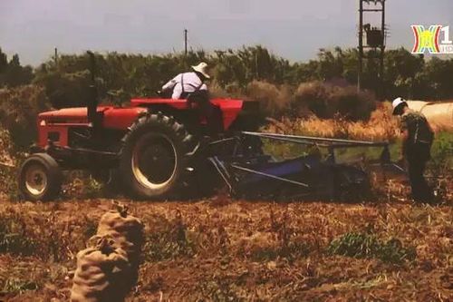 Ngân hàng Thế giới chuẩn bị phát hành trái phiếu hạn hán