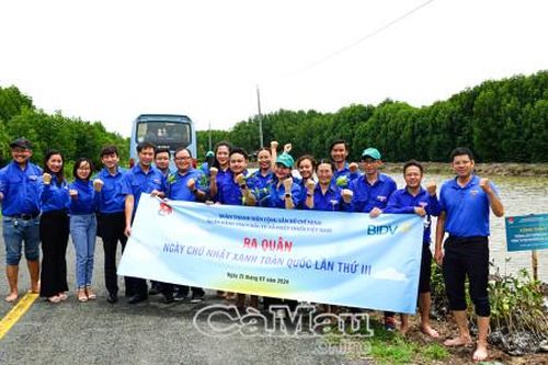 Hoạt động hướng về cơ sở