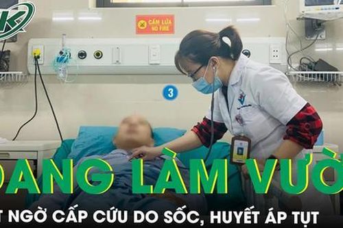Đang làm vườn người đàn ông bất ngờ nhập viện cấp cứu trong tình trạng sốc, huyết áp tụt