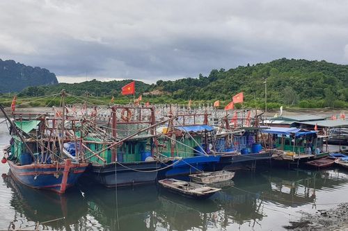 Quảng Ninh: Tạm ngừng cấp phép các phương tiện thủy ra khơi từ 12h ngày 22/7