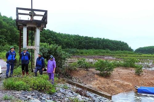 Quảng Ninh: Đưa khách du lịch tuyến đảo về đất liền trước bão