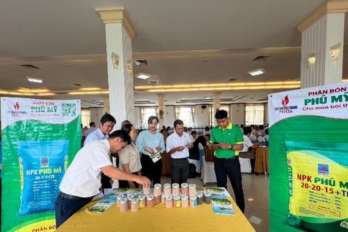 Chiến lược phát triển PVFCCo đến 2035, tầm nhìn đến 2045