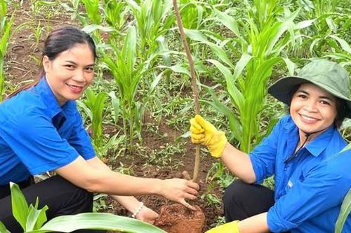 Dấu ấn thanh niên trên những tuyến đường xanh