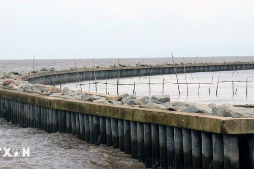 Kiên Giang có 21 điểm sạt lở bờ biển với tổng chiều dài khoảng 122km