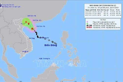 Ứng phó bão số 2 và mưa lũ: Đảm bảo an toàn hệ thống đê điều