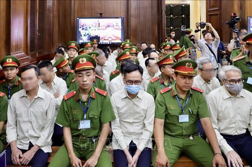 Vụ án liên quan đến đăng kiểm: Sai phạm từ các Trung tâm đăng kiểm tư nhân