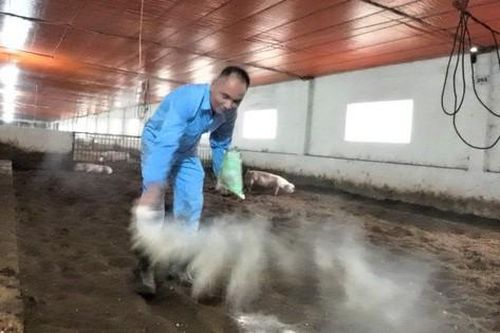 Anh nông dân mỗi năm đút túi 1,3 tỷ đồng nhờ nuôi con 'hiền như đất'