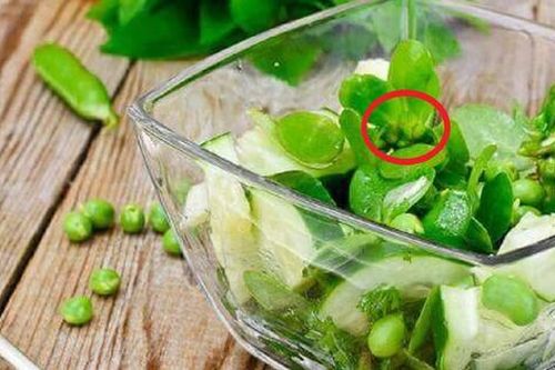 2 loại rau không lo 'ngậm' thuốc trừ sâu, cái số 1 người Việt rất mê