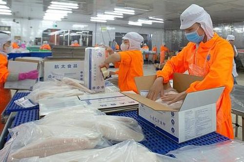 Thủy sản Nam Việt: Doanh thu nghìn tỷ vẫn lãi mỏng