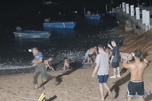 Đi dạo trên bãi biển, du khách bất ngờ cảnh tượng trước mắt