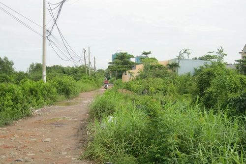 TPHCM hướng dẫn cấp sổ đỏ đất đai có trước năm 1993