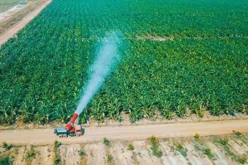 Thaco Agri báo lãi trong nửa đầu năm nay