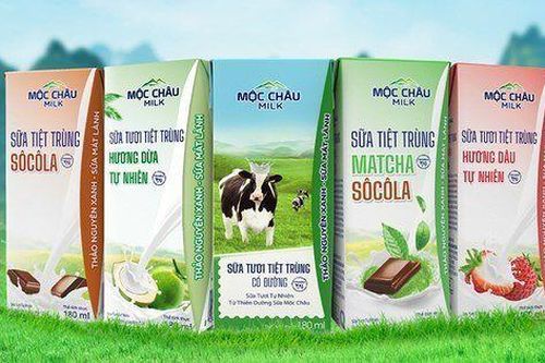 Hậu chuyển nhà sang HoSE, Mộc Châu Milk báo lãi quý II giảm 39%
