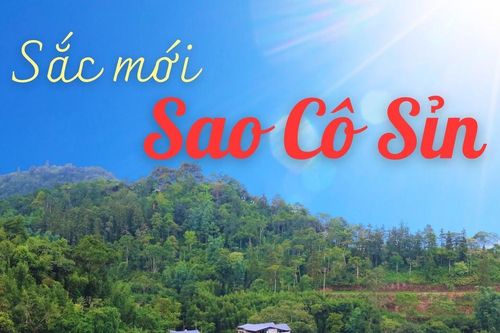 Sắc mới Sao Cô Sỉn